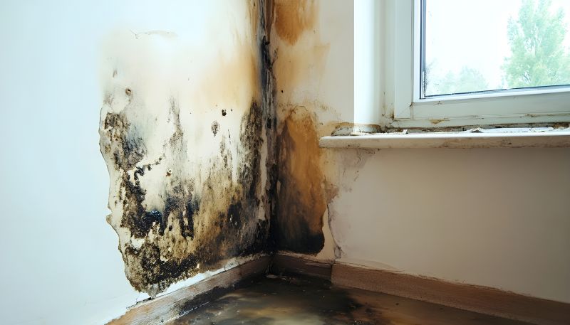 Mold Prevention