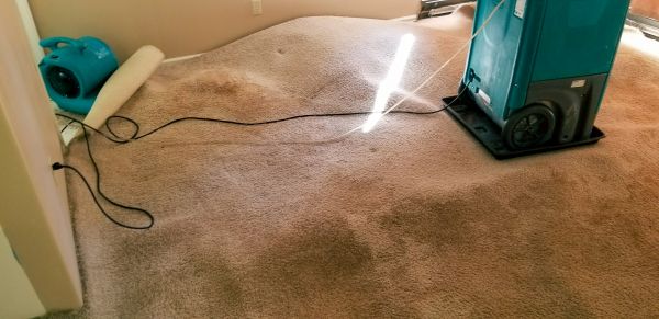 Flood Damage Cleanup in Cumming